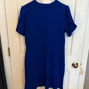 Vibrant Blue Flutter Sleeve Dress brand new sizes xl and large